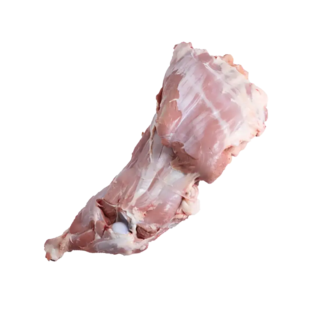 سردست گوسفندی